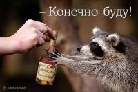 Lemurs Nju, 3 ноября , Киев, id27422965